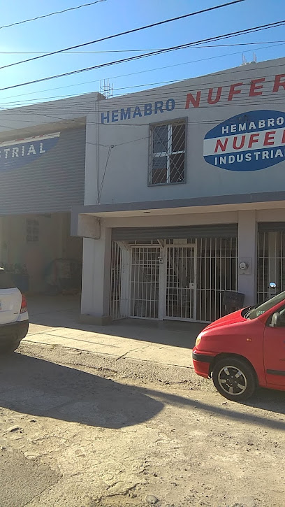 Negocio Hemabro Nufer, S.a. De C.v.