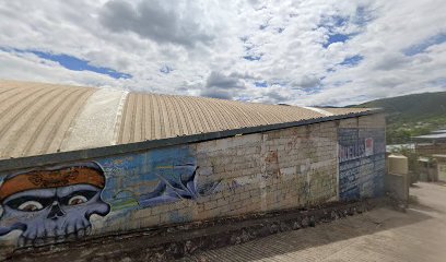 Negocio Muelles Y Torno Tlapa